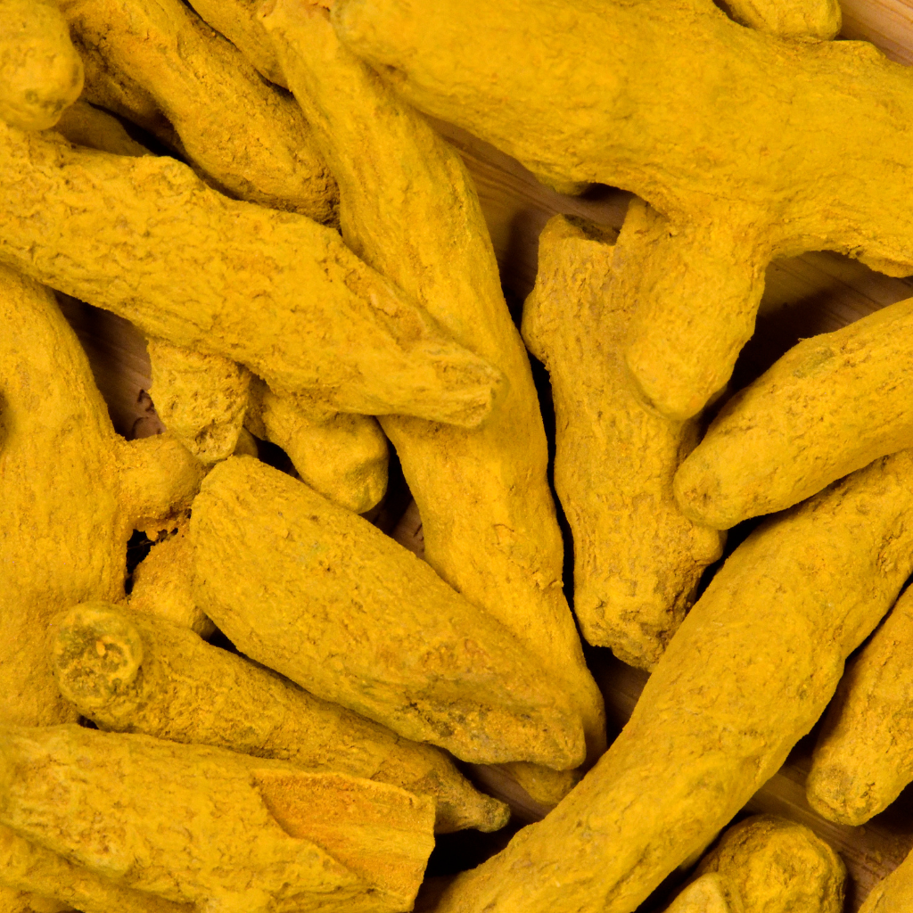 Spices Export - Turmeric