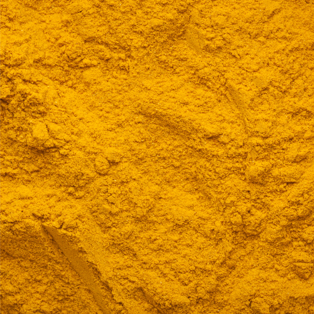 Powdered Turmeric Export Services